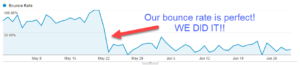 Inaccurate Bounce Rate